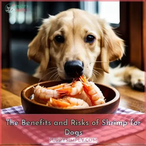 The Benefits and Risks of Shrimp for Dogs