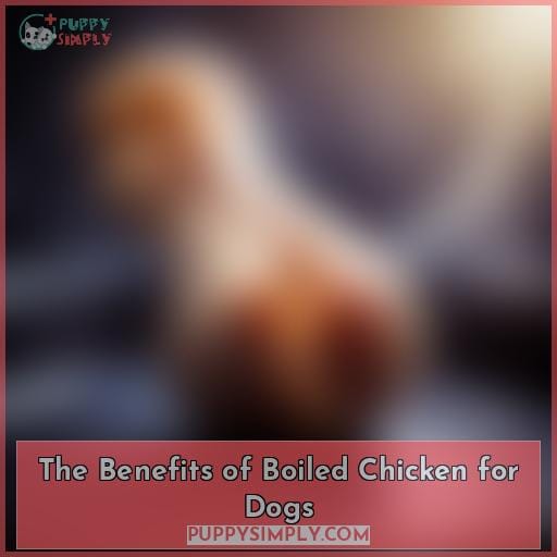 The Benefits of Boiled Chicken for Dogs