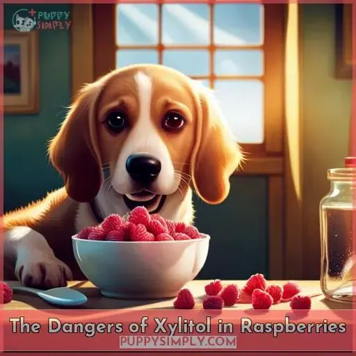 The Dangers of Xylitol in Raspberries