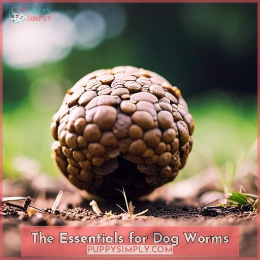 The Essentials for Dog Worms