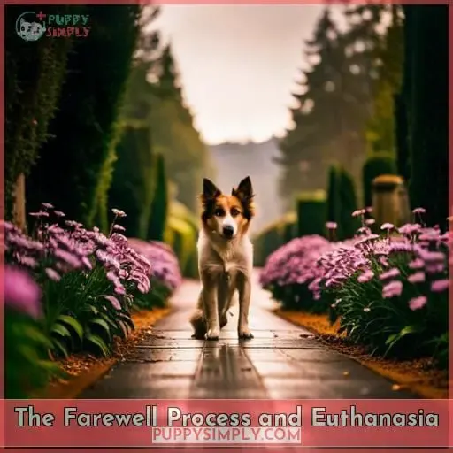 The Farewell Process and Euthanasia