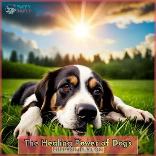 The Healing Power of Dogs