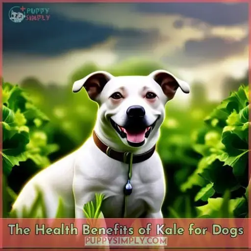 The Health Benefits of Kale for Dogs