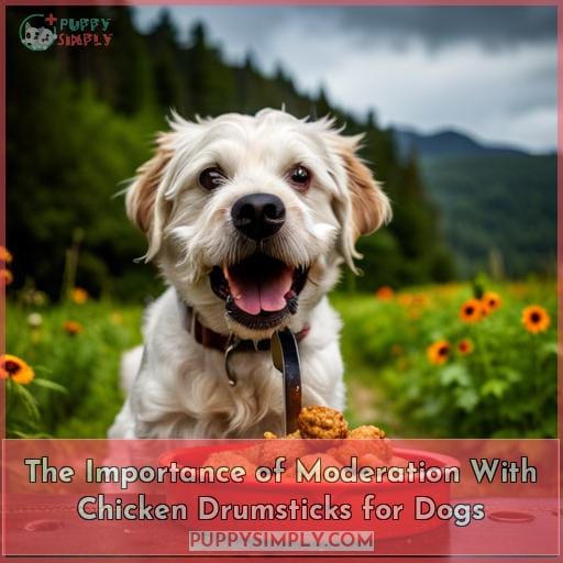 The Importance of Moderation With Chicken Drumsticks for Dogs