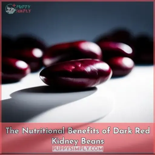 The Nutritional Benefits of Dark Red Kidney Beans