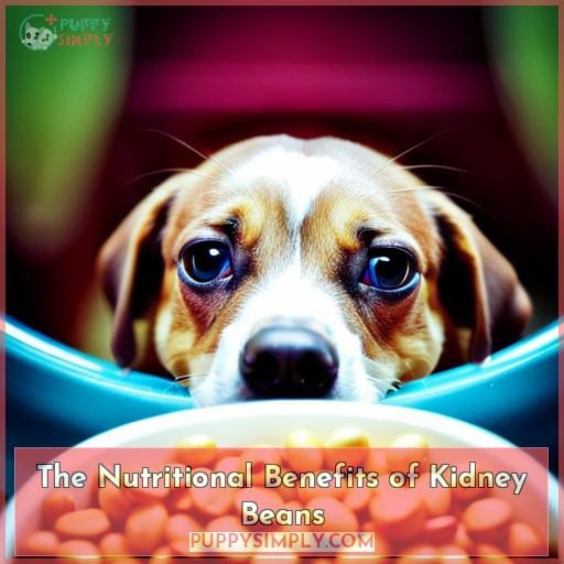 The Nutritional Benefits of Kidney Beans The Nutritional Benefits of Kidney Beans