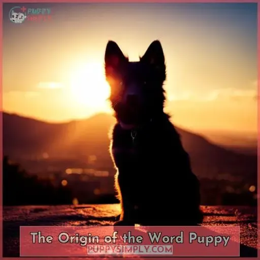 The Origin of the Word Puppy
