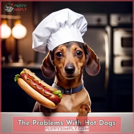 The Problems With Hot Dogs