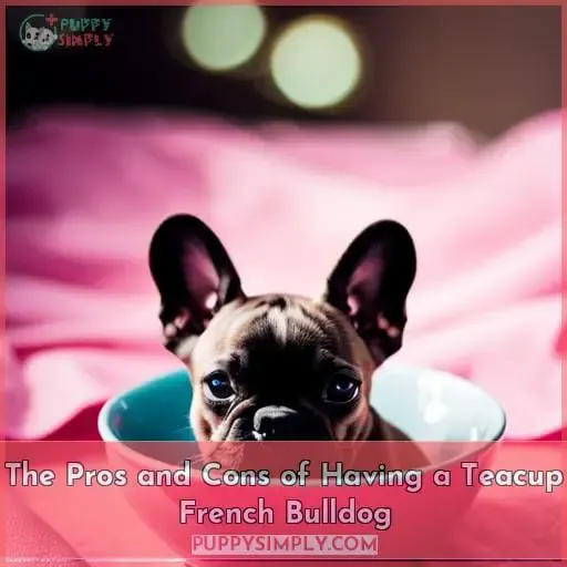 The Pros and Cons of Having a Teacup French Bulldog