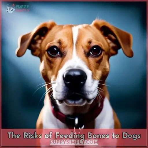 The Risks of Feeding Bones to Dogs