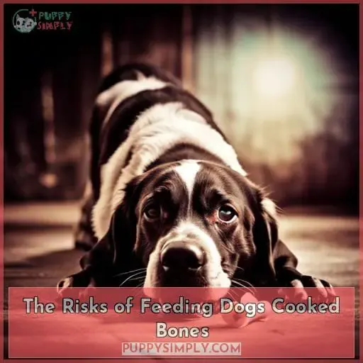 The Risks of Feeding Dogs Cooked Bones