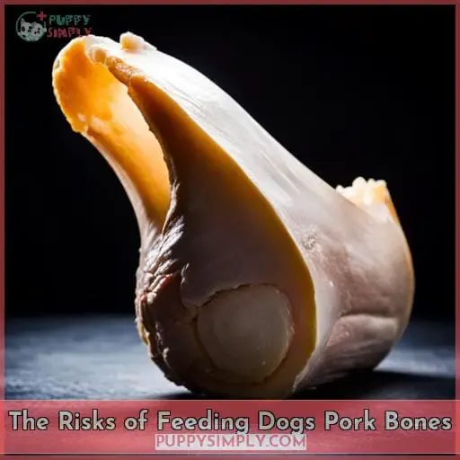 The Risks of Feeding Dogs Pork Bones