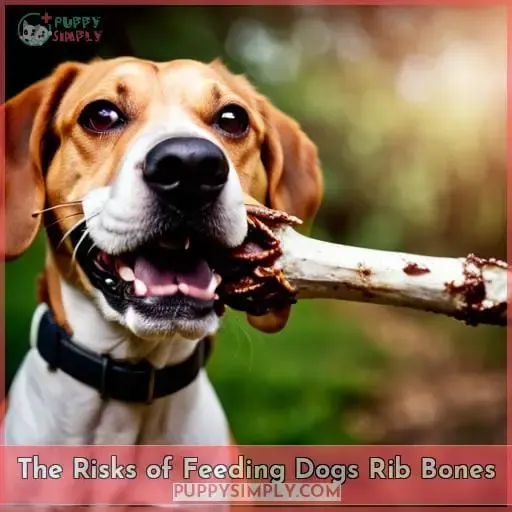 The Risks of Feeding Dogs Rib Bones