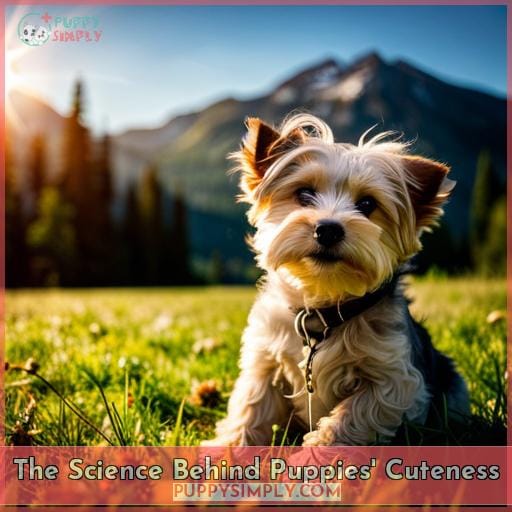 The Science Behind Puppies