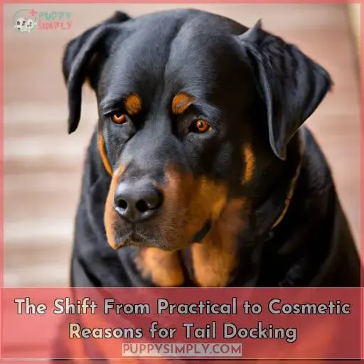 The Shift From Practical to Cosmetic Reasons for Tail Docking