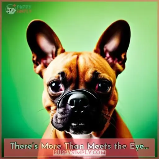There’s More Than Meets the Eye…
