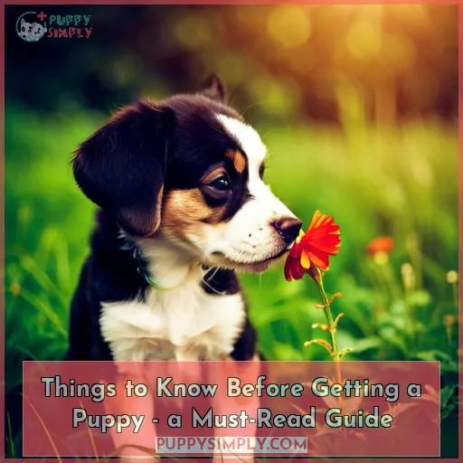 things to know before getting a puppy