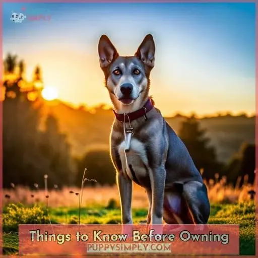 Things to Know Before Owning