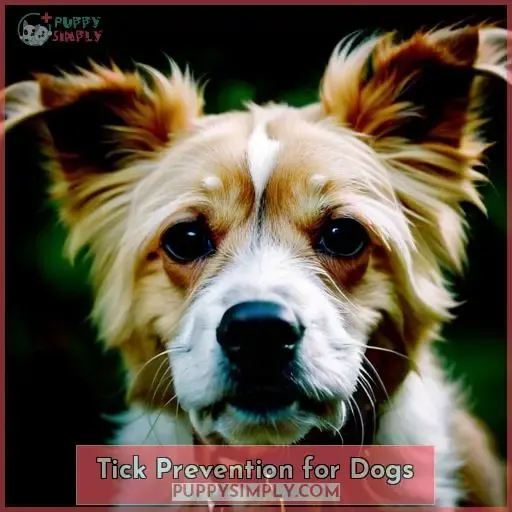 Tick Prevention for Dogs