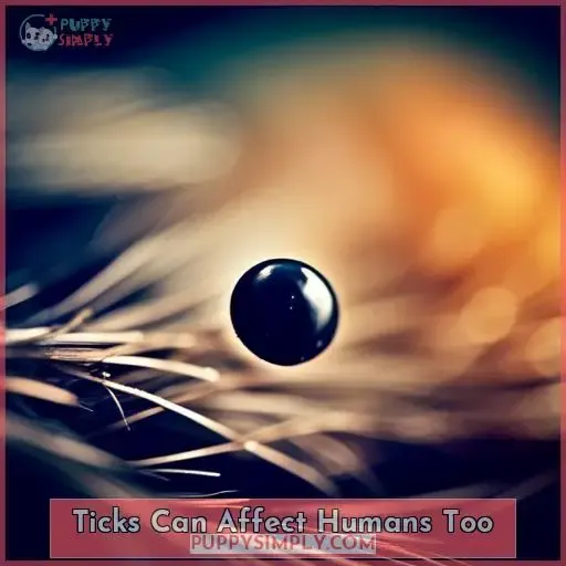 Ticks Can Affect Humans Too