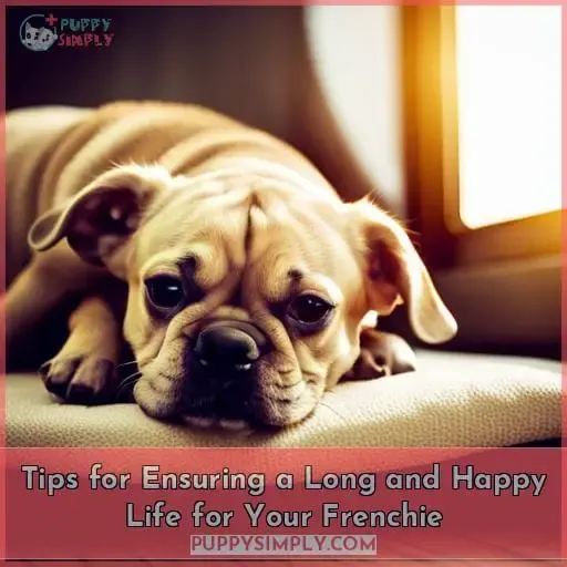 Tips for Ensuring a Long and Happy Life for Your Frenchie