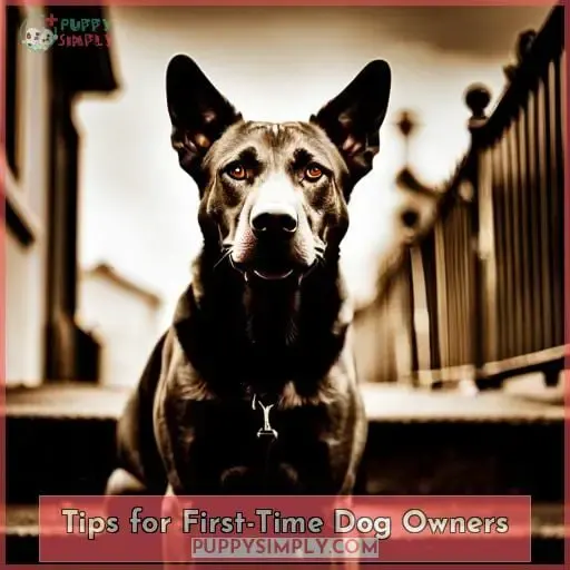 Tips for First-Time Dog Owners