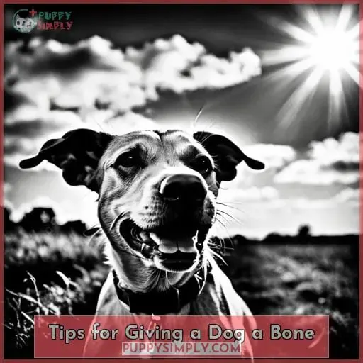 Tips for Giving a Dog a Bone