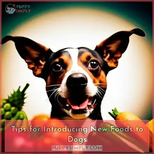 Tips for Introducing New Foods to Dogs
