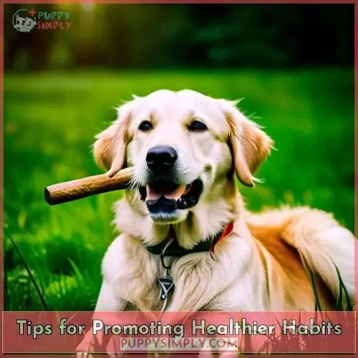 Tips for Promoting Healthier Habits