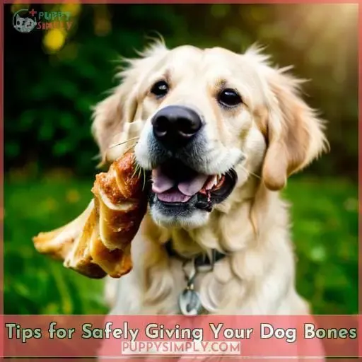 Tips for Safely Giving Your Dog Bones