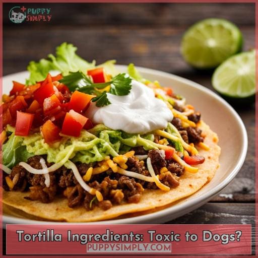 Tortilla Ingredients: Toxic to Dogs