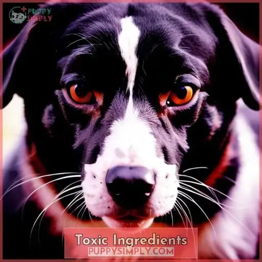 Toxic Ingredients