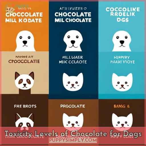 Toxicity Levels of Chocolate for Dogs