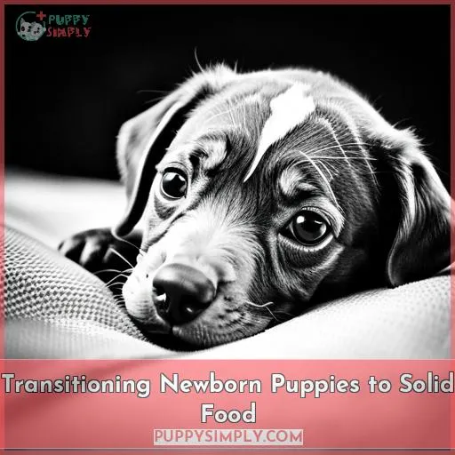 Transitioning Newborn Puppies to Solid Food
