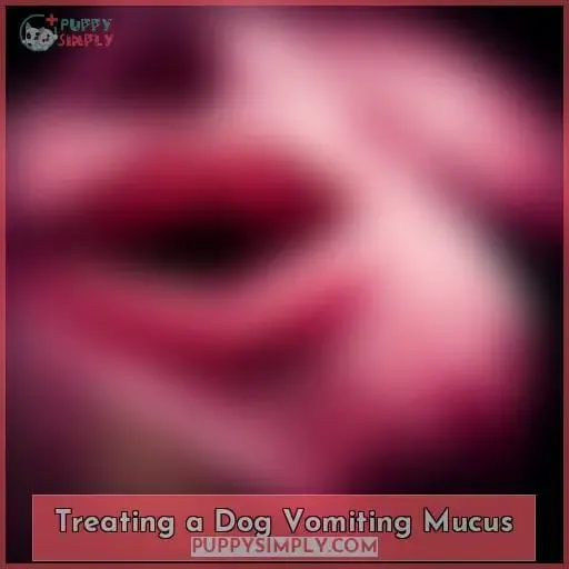 Treating a Dog Vomiting Mucus