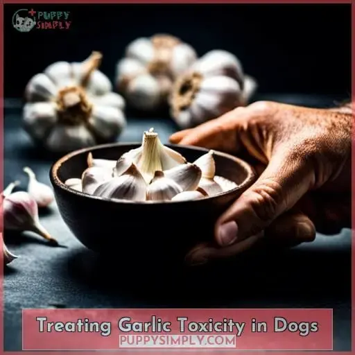 Treating Garlic Toxicity in Dogs