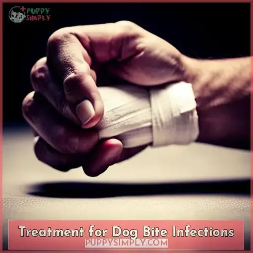Treatment for Dog Bite Infections