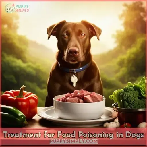 Treatment for Food Poisoning in Dogs