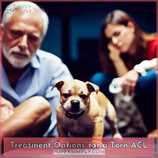 Treatment Options for a Torn ACL