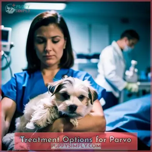 Treatment Options for Parvo