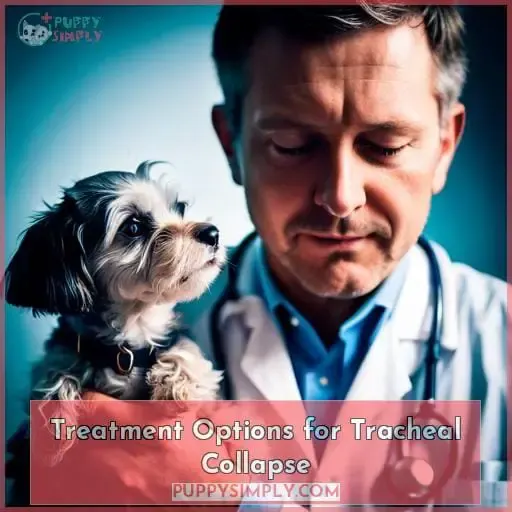 Treatment Options for Tracheal Collapse