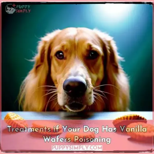 Treatments if Your Dog Has Vanilla Wafers Poisoning