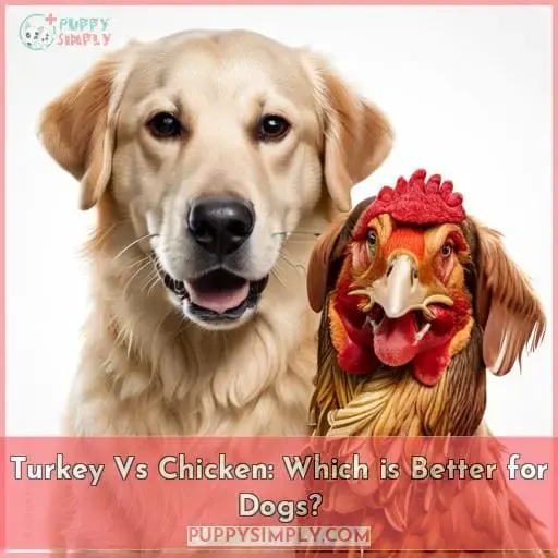 Turkey Vs Chicken: Which is Better for Dogs