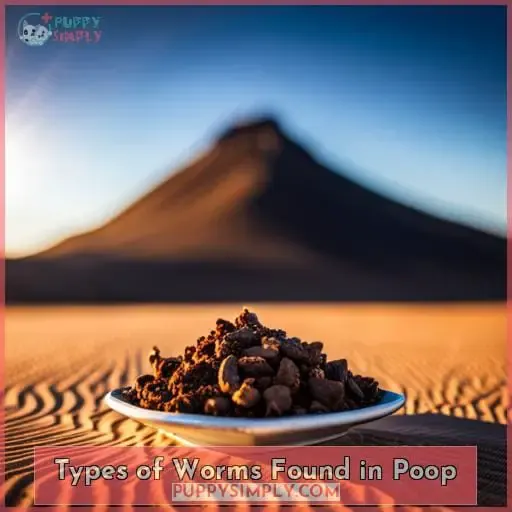 Types of Worms Found in Poop