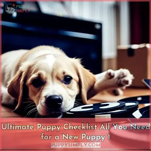 ultimate puppy checklist all you need for a new puppy 1