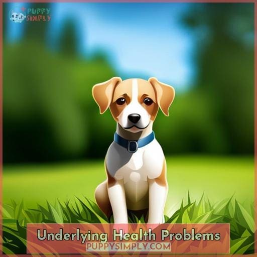 Underlying Health Problems