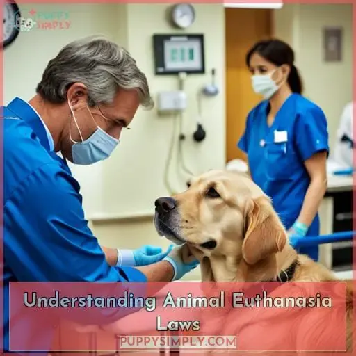 Understanding Animal Euthanasia Laws