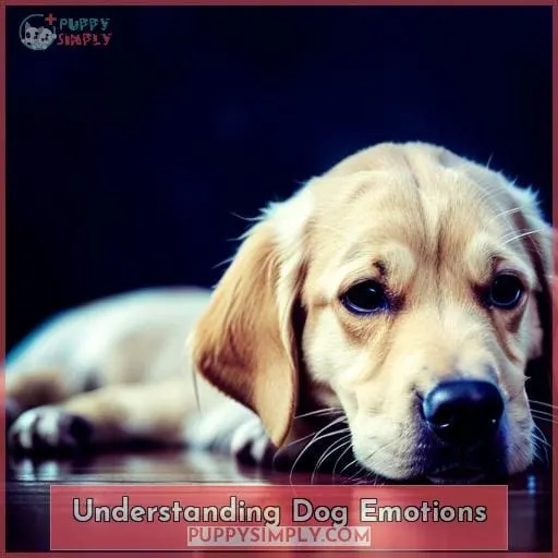 Understanding Dog Emotions