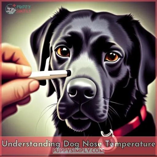 Understanding Dog Nose Temperature
