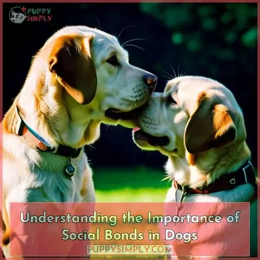 Understanding the Importance of Social Bonds in Dogs